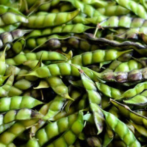 "Unhulled Green Pigeon/Gungo Peas" per lb