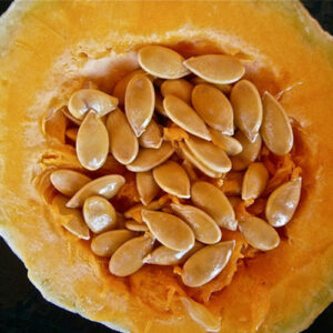 "Pumpkin seeds" (12)