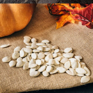 Squash Seeds